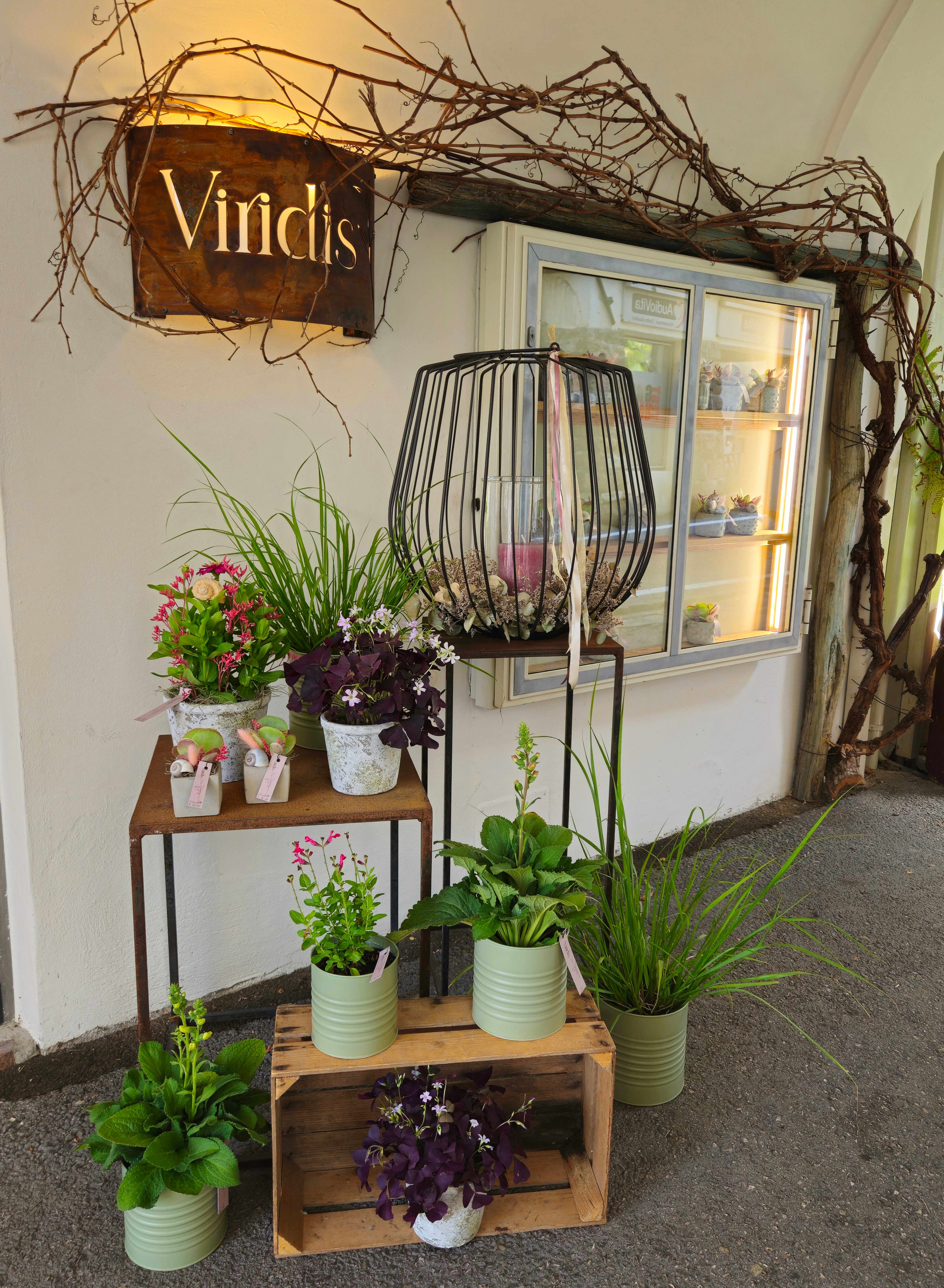 Ingresso del Viridis Floral Atelier con insegna luminosa e piante